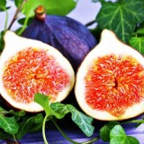 Харди Чикаго